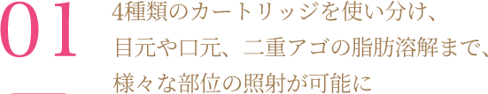 3種類のカートリッジを使い分け、目元や口元、二重アゴの脂肪溶解まで、様々な部位の照射が可能に